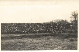 Photo - Chasse à Courre Dans Les Yvelines - Une Foule - Lundi De Pâques 1914 - Hunting