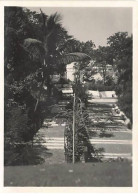 Photo - BOMBAY - Dans Les Jardins Du Reservoir - Format 8,5 X 11 Cm - Inde