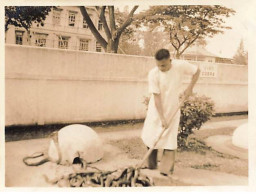 Photo - Thaïlande - BANGKOK - Institut Pasteur - Format 10,7 X 8,4 Cm - 1937 - Thailand