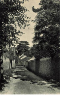 SAINT VRAIN - La Ruelle Des Noblets - Saint Vrain