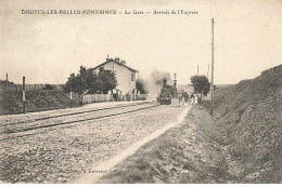 DRUYES-LES-BELLES-FONTAINES - La Gare - Arrivée De L'Express - Autres & Non Classés