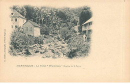 Martinique - Le Fond Printemps (Banlieue De St Pierre) - Th. Célestin Photographe - Other & Unclassified