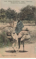 Sénégal - Chamelier Transportant Des Graines - Sénégal