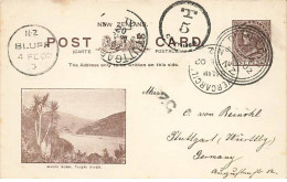 Nouvelle-Zélande - Maori Bush - Taieri River - Entier Postal - New Zealand