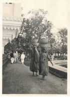 Photo - Inde - UDAÏPUR - Jardins De La Fontaine - Format 8,5 X 11 Cm - Inde