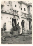 Photo - Inde - UDAÏPUR - Scènes De Rue - Format 8,5 X 11 Cm - Indien