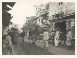 Photo - Inde - UDAÏPUR - Chameau Et Son Cornac - Format 11 X 8,5 Cm - India