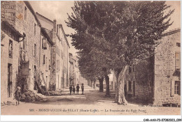 CAR-AAHP3-43-0231 - MONTFAUCON-DU-VELAY - La Promenade Du Petit Fossé - Montfaucon En Velay