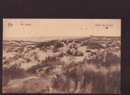 Le Zoute - Dans Les Dunes - Postkaart - Knokke