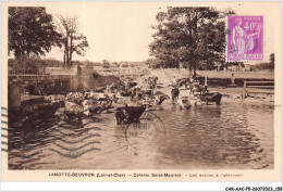 CAR-AACP5-41-0435 - LA MOTTE-BEUVRON - Colonie Saint-Maurice - Les Vaches à L'abreuvoir  - Lamotte Beuvron