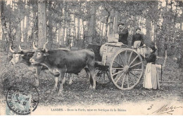 40.n°57032.landes.dans La Foret Mise En Barrique De La Résine.métier - Other & Unclassified