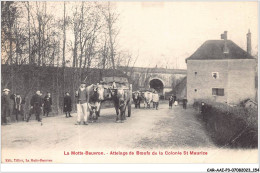 CAR-AAIP3-41-0269 - LA MOTTE-BEUVRON - Attelage De B°uf Colonie St-Maurice - Agriculture - Carte Pliee, Vendue En L'etat - Lamotte Beuvron