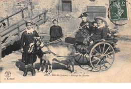 45 . N° 53805.BRIARE. Attelage De Chèvres . Enfants - Briare