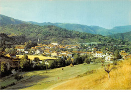 43.AM10203.Vorey-sur-Arzon.Vue Générale.Edit Artaud.SZ 1.CPSM 15x10 Cm - Autres & Non Classés