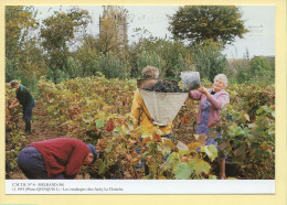 Les Vendanges Chez Jacky LE CLAINCHE / MELRAND (56) (QUINQUIS J.) C.M.T.B. N° 6 / 400 Exemplaires (CARTOUEST) - Paysans