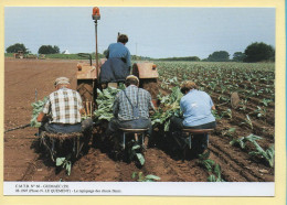 Le Repiquage Des Choux-fleurs / GUIMAEC (29) (N. LE QUEMENT) C.M.T.B. N° 66 / 400 Exemplaires (CARTOUEST) - Landbouwers