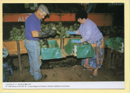 Louis PRIGENT Et Colette LE SCANFF Emballent Les Artichauts / PLOUVORN (29) (CALVEZ H.) C.M.T.B. N° 17 - Farmers