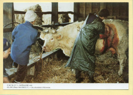 Une Césarienne à Kerconan / GUERANDE (44) (MAURICE Y.) C.M.T.B. N° 2 / 400 Exemplaires (CARTOUEST) - Farmers