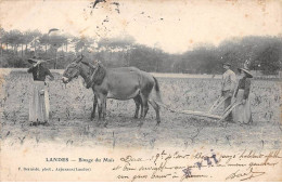 40.AM17098.Landes.Binage Du Mais.Agriculture - Autres & Non Classés