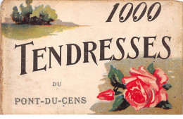 44 - N°74248 - 1000 Tendresses Du PONT-DU-CENS - Carte Vendue En L'état - Other & Unclassified