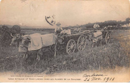 40 - LA CHALOSSE - SAN34503 - Attelage Et Char Landais Dans Les Plaines De La Chalosse - Agriculture - Other & Unclassified