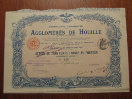 FRANCE - PARIS 1902 - Cie FRANCAISE DES AGGLGLOMERES DE HOUILLE - ACTION 500 FRS - IMPRIMERIE RICHARD - Andere & Zonder Classificatie