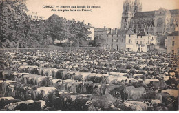 49.AM17955.Cholet.Marché Aux Boeufs Du Samedi.Agriculture - Cholet