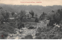 43 - SALETTES - SAN46236 - Environs De Chambon De Tence - Autres & Non Classés