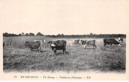 41-AM21822.En Sologne.N°71.Un étang.Vaches Au Pâturage.Agriculture - Other & Unclassified