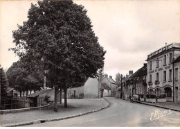 45 - SAN61589 - CHATILLON COLIGNY - Rue D'Aillant - Editions De Luxe - CPSM 10x15 Cm - Chatillon Coligny