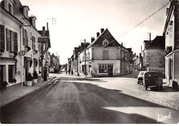 49 - SAN60733 - INGRANDES SUR LOIRE - Place Du Lion D'Or - Chretien - CPSM 10x15 Cm - Autres & Non Classés