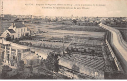 49-AM21966.Angers.Propriété St Augustin.chemin Du Bourg-Lacroix.Panorama Des Faubourgs.Cultures - Angers