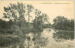 40.SAINT SEVER SUR ADOURL'ETANG DE LA COULAQUERE - Autres & Non Classés