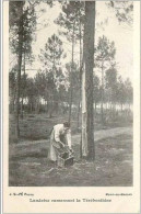 40.LANDAISE RAMASSANT LA TEREBENTHINE - Autres & Non Classés