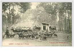 40.LANDES.LE DEPART POUR LE PATURAGE - Autres & Non Classés