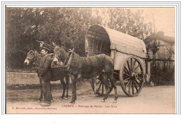 40.LANDES.ATTELAGE DE MULES.LOU BROS. - Sonstige & Ohne Zuordnung