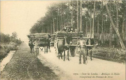 40.DANS LES LANDES.ATTELAGES DE MULES TRANSPORTANT DES POTEAUX DE MINE - Other & Unclassified