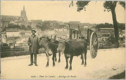 40.DANS LES LANDES.ATTELAGES DE BOEUFS - Autres & Non Classés