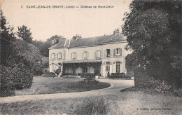 45 - SAN62835 - SAINT JEAN DE BRAYE - Château De Mont Désir - Other & Unclassified