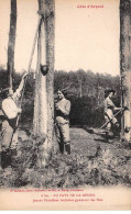 40 - SAN62804 - LES LANDES - Au Pays De La Résine - Jeunes Résinières Landaises Gemmant Des Pins - Agriculture - Sonstige & Ohne Zuordnung