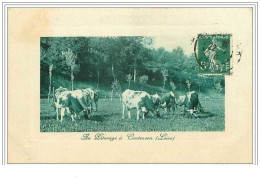 42.CONTENSON.AU PATURAGE A CONTENSON.VACHES - Other & Unclassified