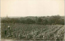 41.THORE LA ROCHETTE.VUE GENERALE.CPSM - Autres & Non Classés