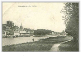 41.MONTRICHARD.VUE GENERALE. - Montrichard