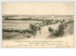 44.BOURG DE BATZ, LE CROISIC.PRESQU'ILE CROISICAISE.A TRAVERS LES MARAIS SALANTS DU POULIGUEN - Le Croisic