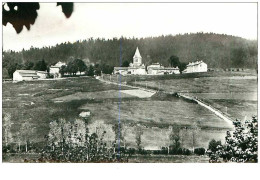 42.SAINT REGIS DU COIN.n°11564.VUE GENERALE.CPSM - Autres & Non Classés