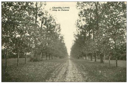 45.CHEVILLY.n°1260.ALLEE DE MADAME - Autres & Non Classés