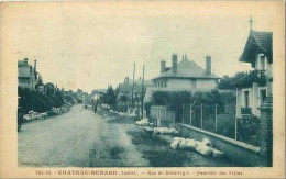 45.CHATEAU RENARD.RUE DE MONTARGIS.QUARTIER DES VILLAS - Autres & Non Classés