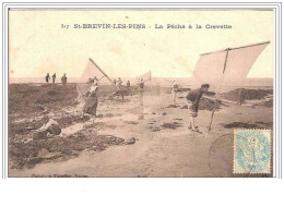 44.ST-BREVIN-LES-PINS.LA PECHE A LA CREVETTE. - Sonstige & Ohne Zuordnung