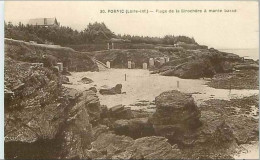 44.PORNIC.PLAGE DE LA BIROCHERE A MARE BASSE - Pornic