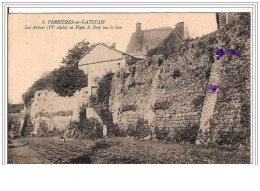 45.FERRIERES-EN-GATINAIS. LES ARENES (VI E Siecle) OU PEPIN LE BREF TUA LE LION. - Other & Unclassified